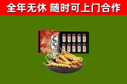 大同回收冬虫夏草价格