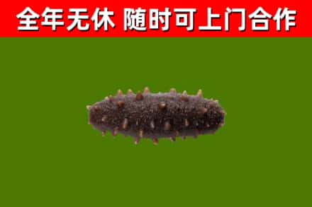 大同烟酒回收干海参.jpg